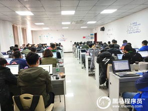 元宵佳節，相聚黑馬 鄭州Python基礎3期開班啦！